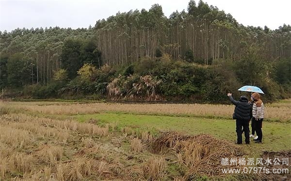 石景山区陈老师带着爱徒寻龙点穴